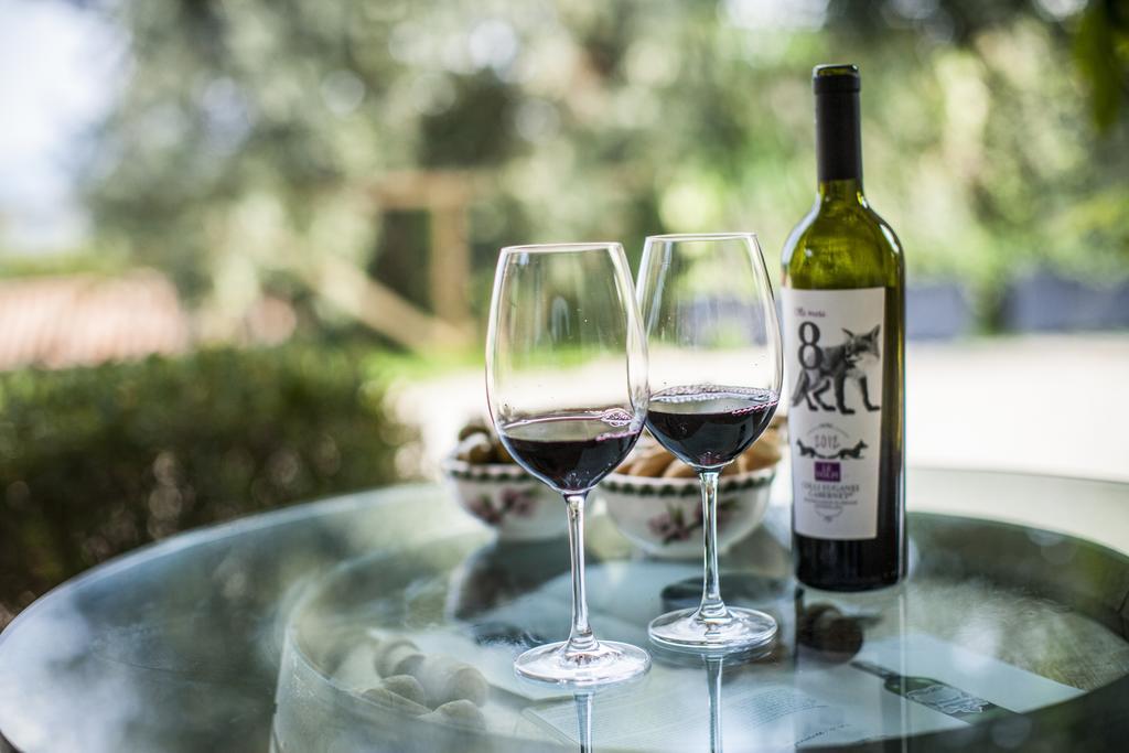 Agriturismo Le Volpi Baone ภายนอก รูปภาพ