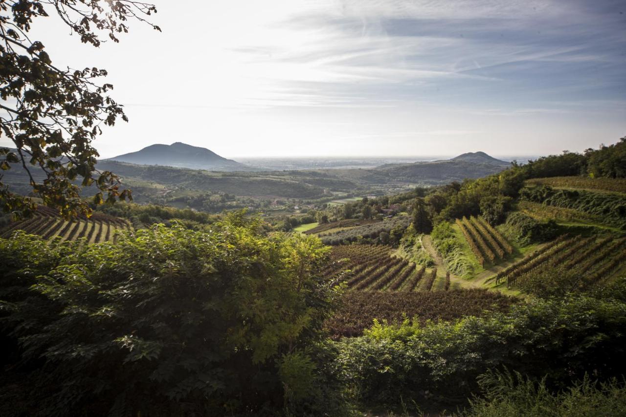 Agriturismo Le Volpi Baone ภายนอก รูปภาพ